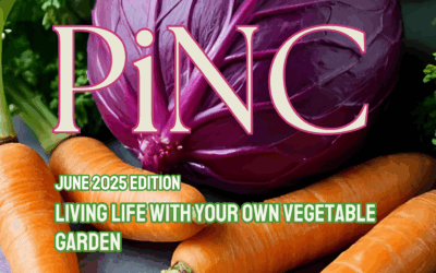 Blog June 2025 Edition